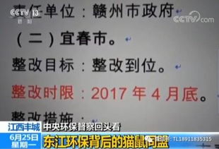 这家上市公司跌停 停产 被央视点名 多人被刑拘