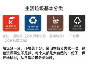 东电社 新政解读 他来了,垃圾分类终究还是来杭州了,最高罚10万